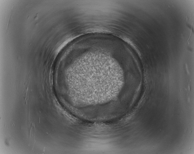 X0000102780983200809081023