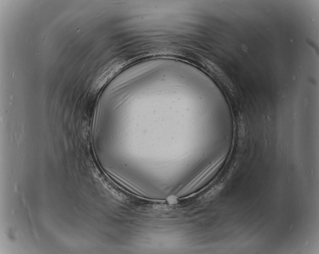 X0000102780985200809081023