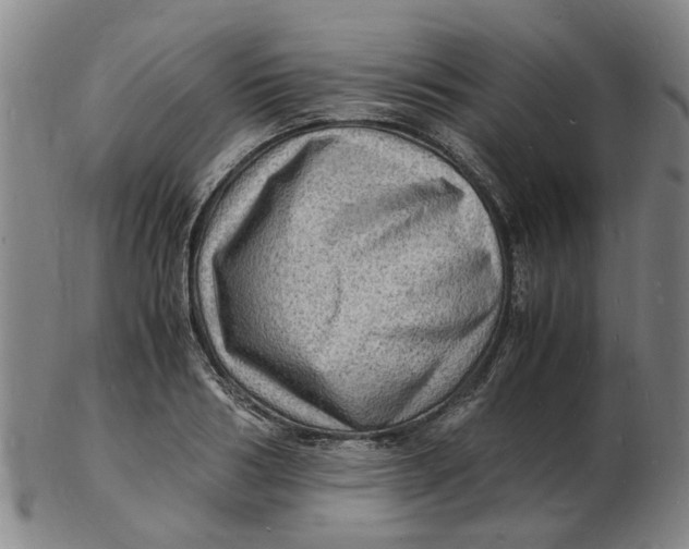 X0000102780986200809081023