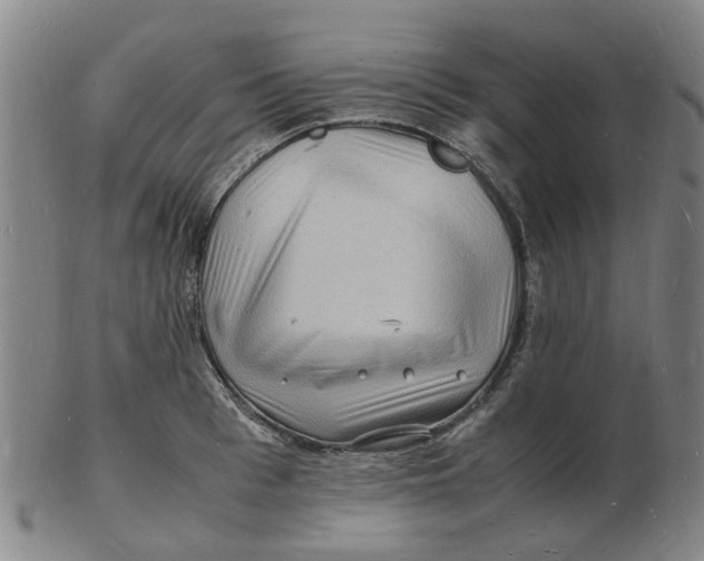 X0000102780993200809081023