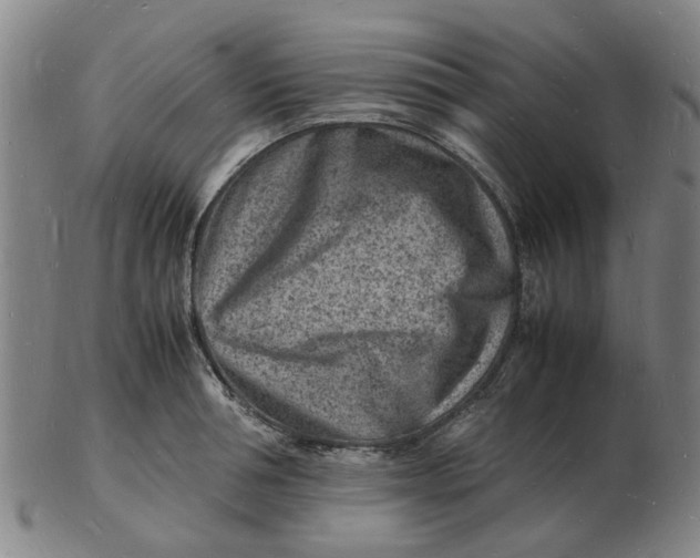 X0000102780994200809081023