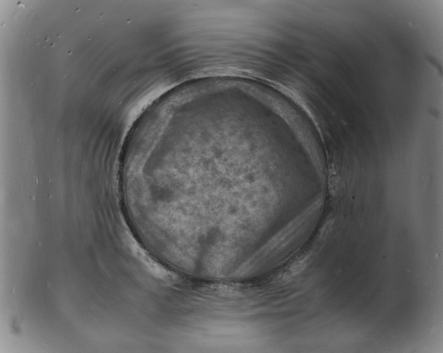 X0000102780995200809081023