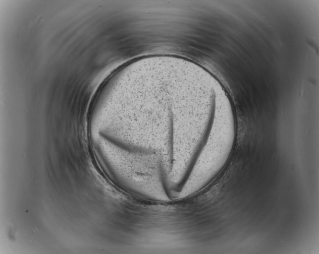 X0000102780996200809081023