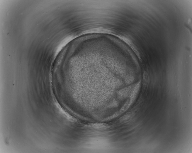 X0000102780998200809081023