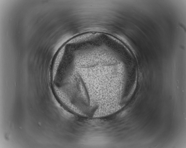 X0000102780999200809081023