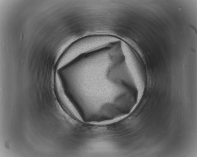 X0000102781006200809081023