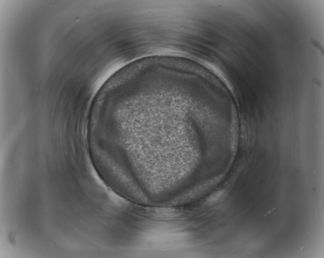 X0000102781007200809081023