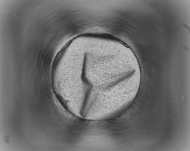 X0000102781008200809081023