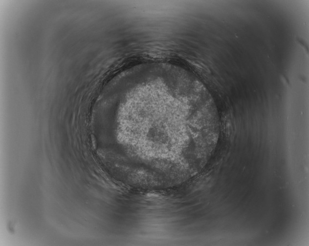 X0000102781009200809081022