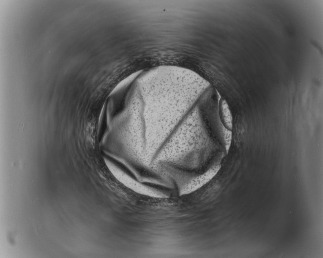 X0000102781010200809081022