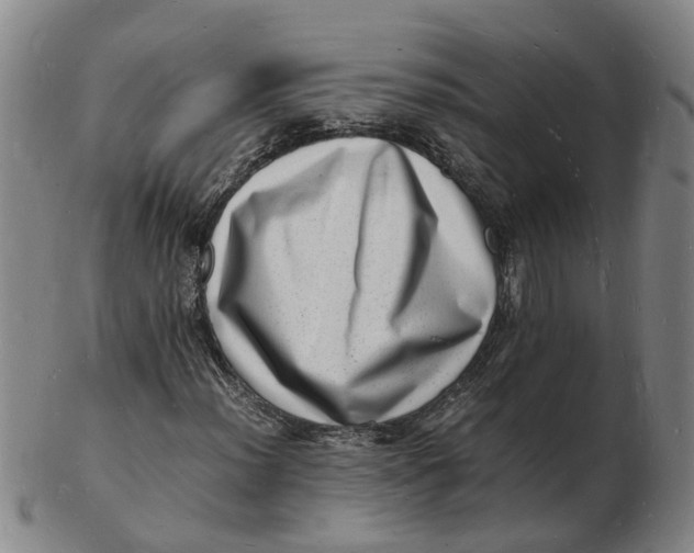 X0000102781012200809081022