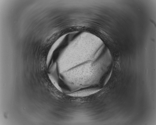 X0000102781014200809081023