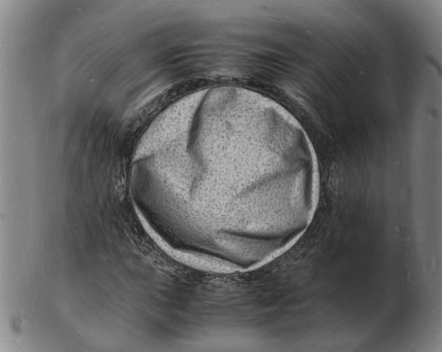 X0000102781015200809081023