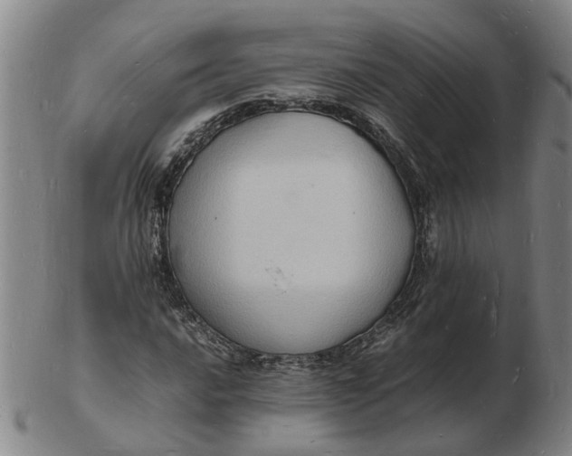 X0000102781016200809081023