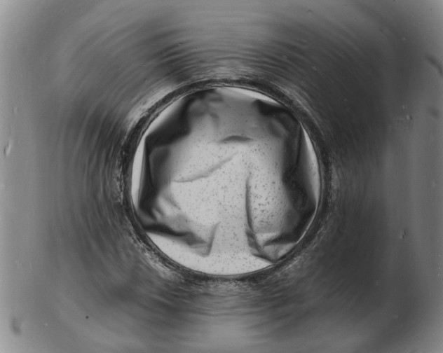 X0000102781018200809081023