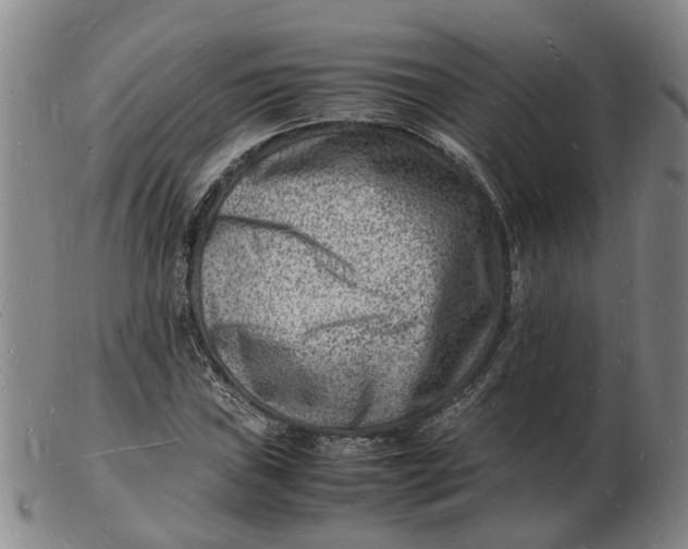 X0000102781019200809081023