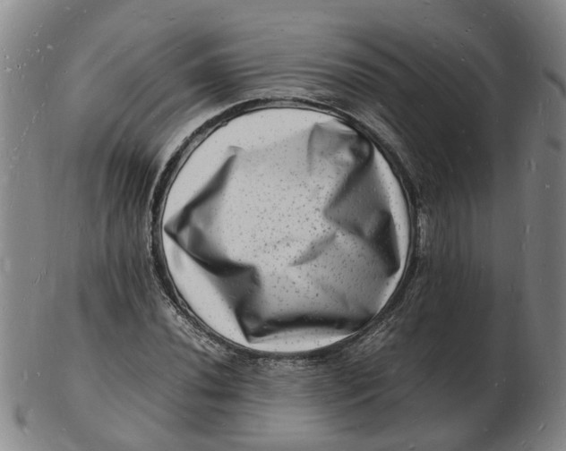 X0000102781020200809081023