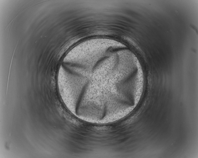 X0000102781025200809081023