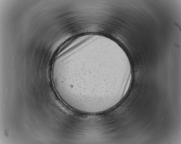 X0000102781026200809081023