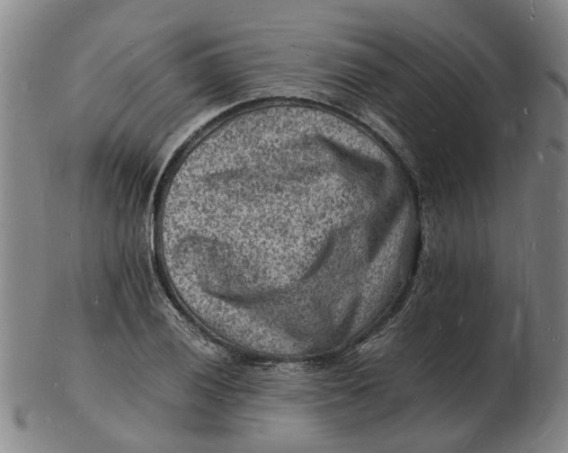 X0000102781028200809081023