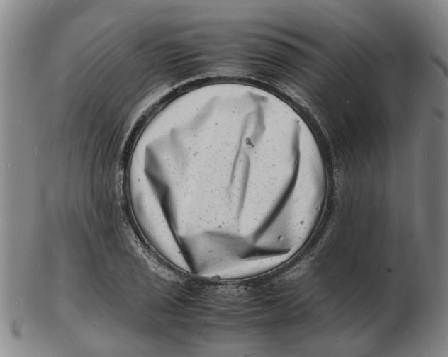 X0000102781029200809081023