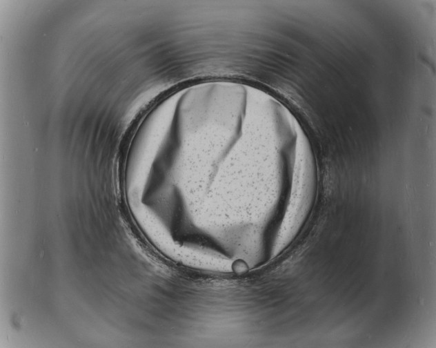 X0000102781030200809081023