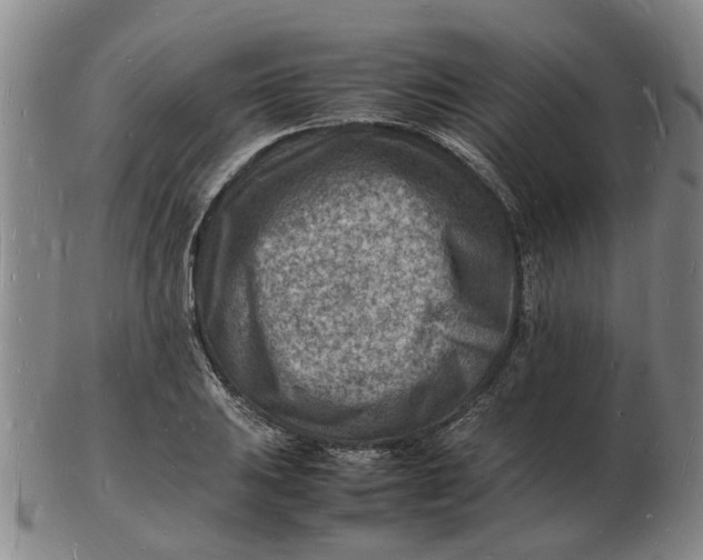 X0000102781031200809081023