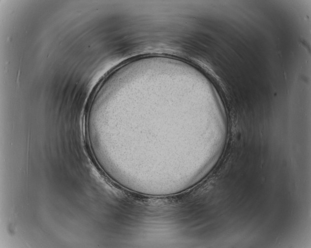 X0000102781032200809081023