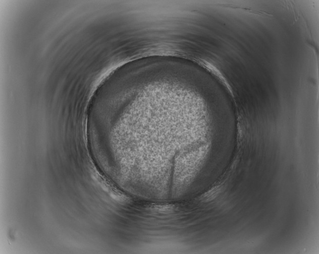 X0000102781035200809081023