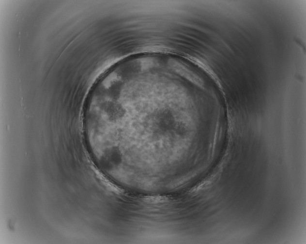 X0000102781037200809081023