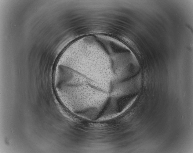 X0000102781039200809081023