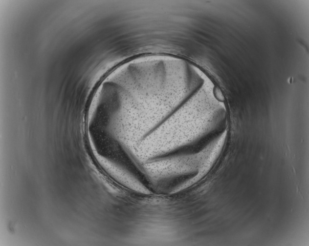 X0000102781040200809081023