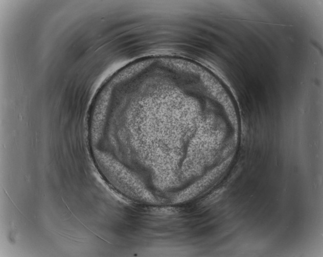 X0000102781045200809081023