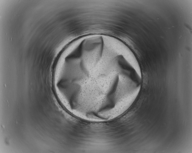 X0000102781046200809081023