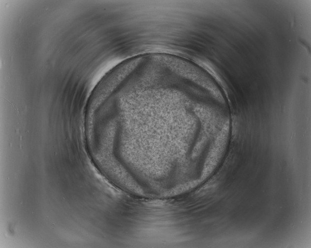 X0000102781048200809081023