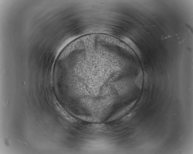 X0000102781052200809081023