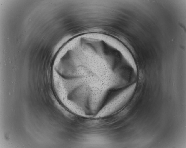 X0000102781054200809081023