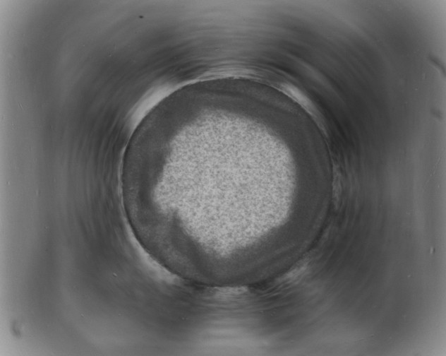 X0000102781055200809081023