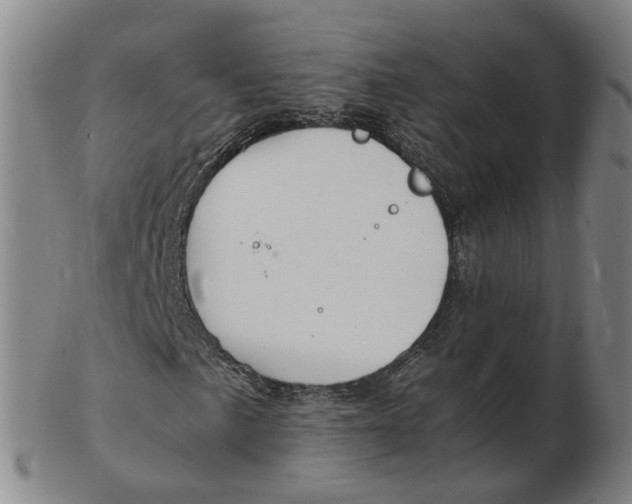 X0000102781057200809081022