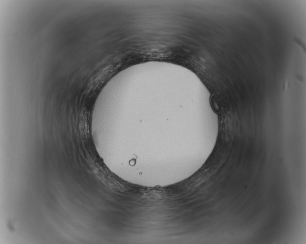 X0000102781058200809081022