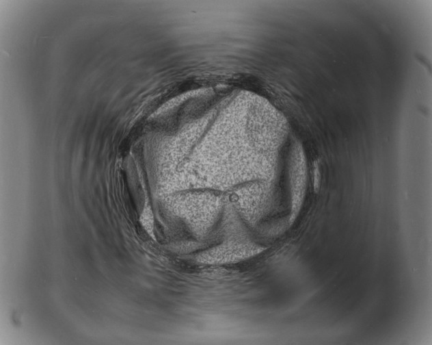 X0000102781059200809081022