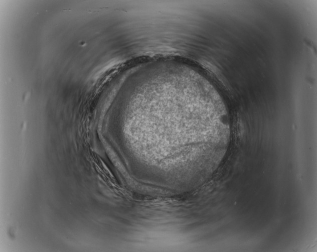 X0000102781063200809081022