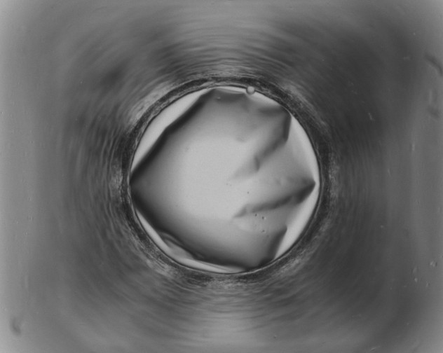 X0000102781065200809081022