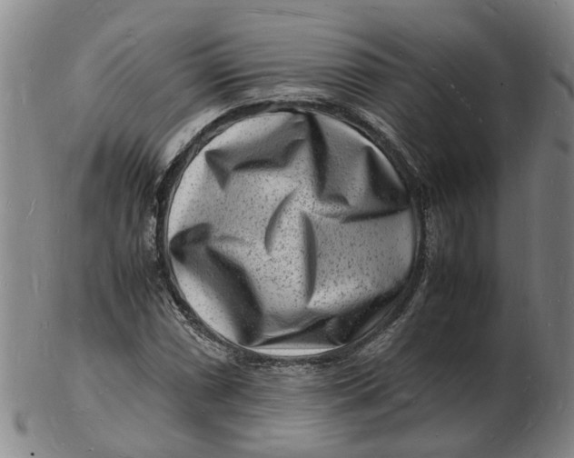 X0000102781066200809081022