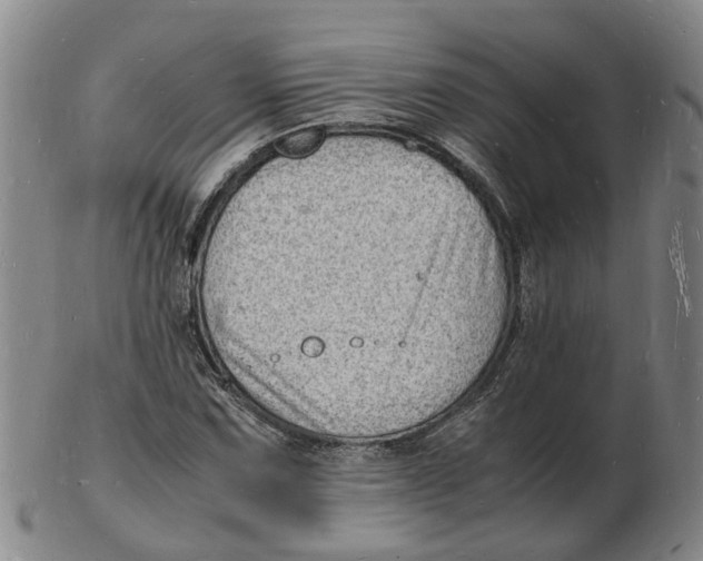 X0000102781067200809081022