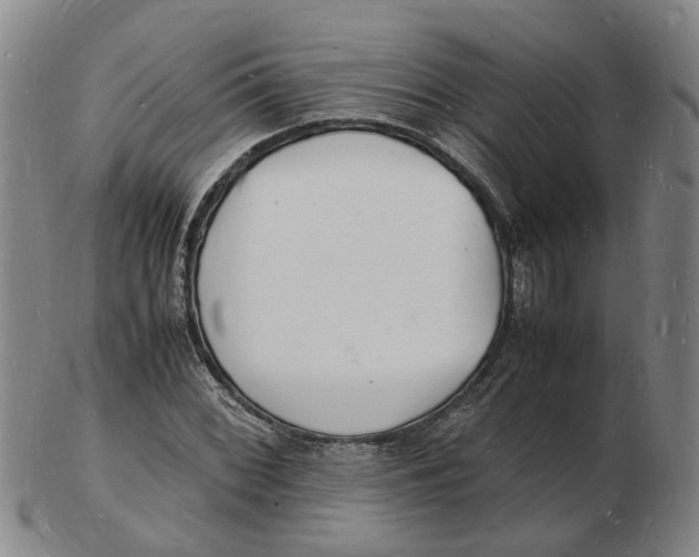 X0000102781068200809081022