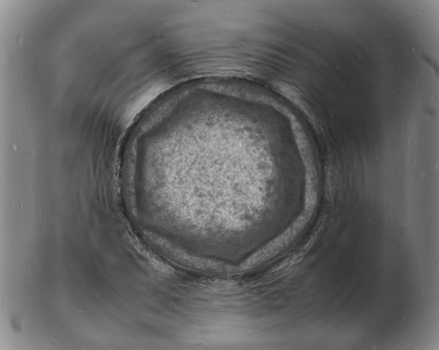 X0000102781071200809081022