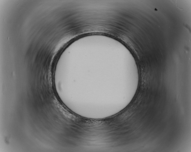 X0000102781072200809081022