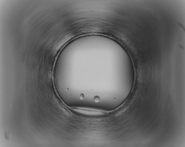 X0000102781073200809081022