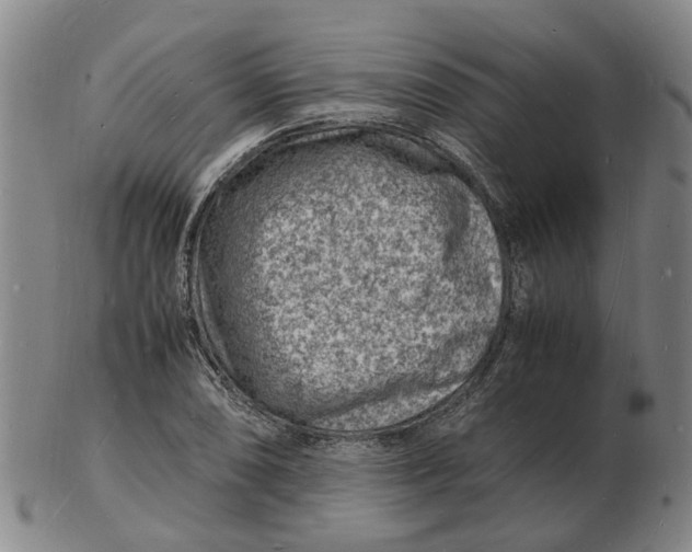 X0000102781074200809081022